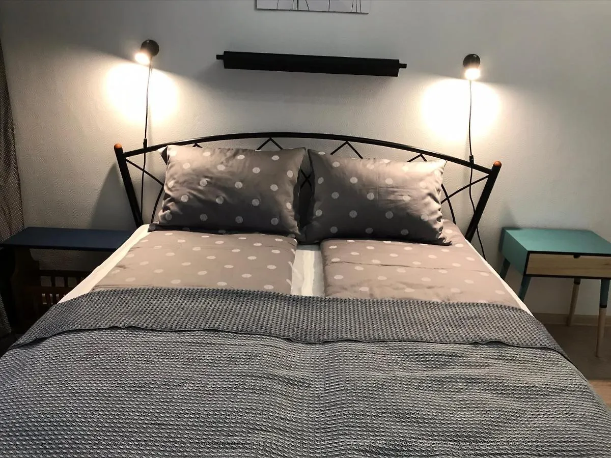 S88 Apartment-Комфортабельные Апартаменты Рядом Станция Mетро Университет Near Train Station Airport Kyiv City Center Botanical Garden Apartment
